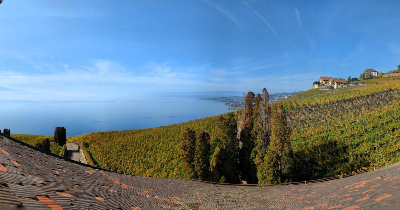 Domaine de la Crausaz Grandvaux Extérieur photo